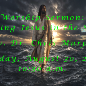 “Trusting Jesus in the Storm” “Trusting Jesus in the Storm”